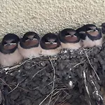 Apartamento Farma Hradec