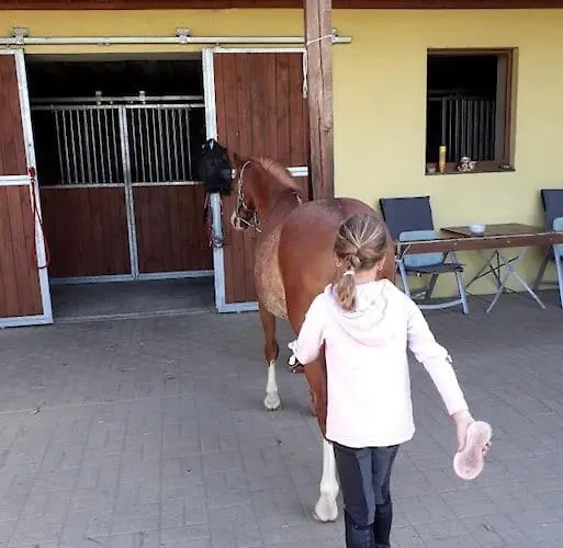 Farma Hradec Appartamento