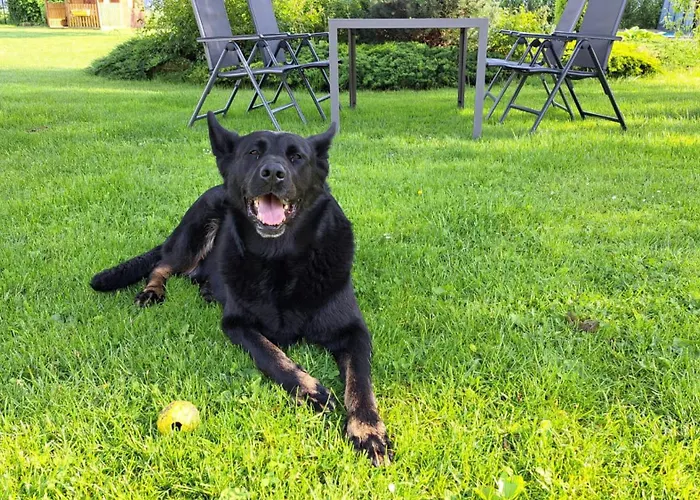 Farma Hradec Appartamento